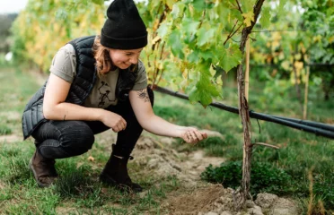 Kamloops wine maker checking soil in vineyard