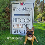 Hidden Chapel Winery sign and dog laying beside it
