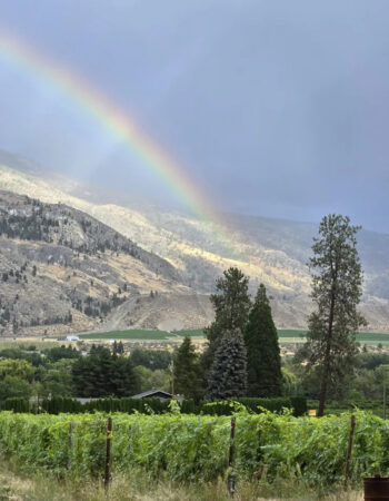 Hidden Chapel Winery