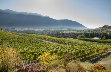 view of mountains and vineyards in the Kootenay Rockies region of British Columbia