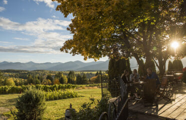 view from the patio at Skimmerhorn Winery