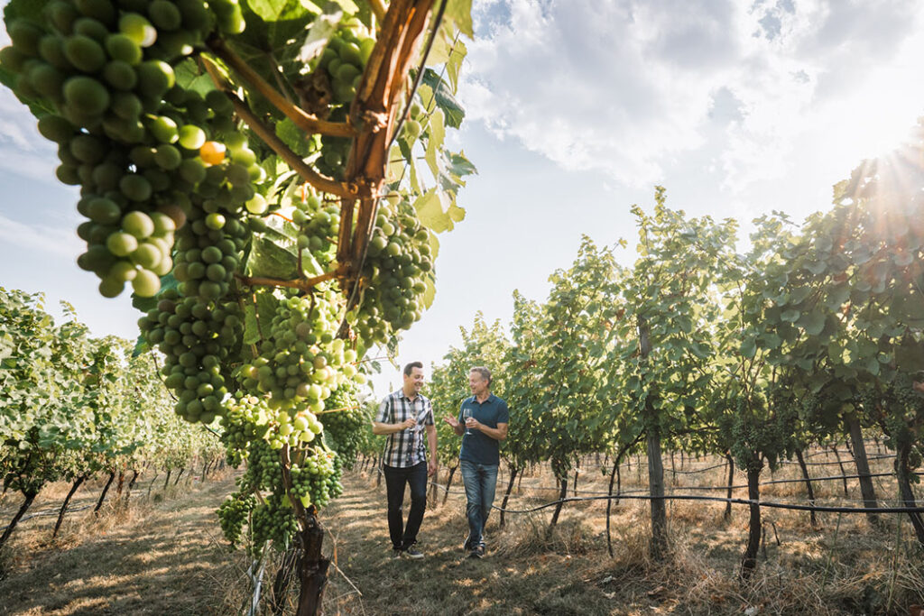two people strolling in a vineyard in the kootenay rockies