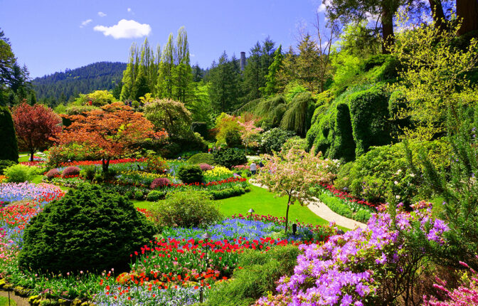 View of the colorful flowers of the sunken garden during spring.