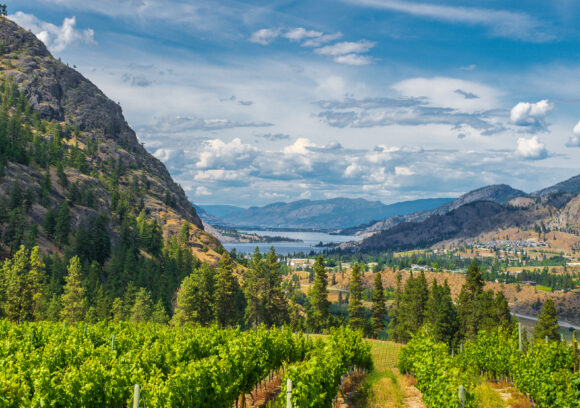 vineyard and valley view in okanagan falls bc