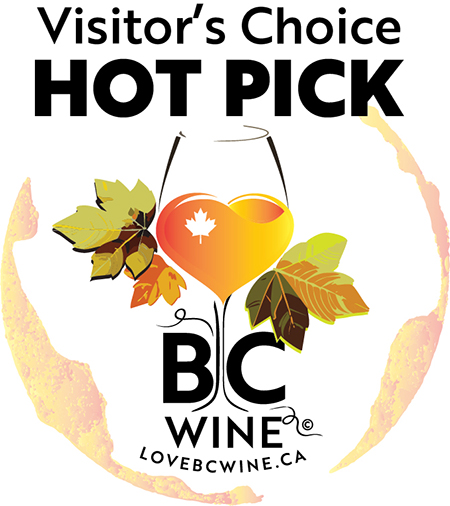 visitor's choice hot pick logo