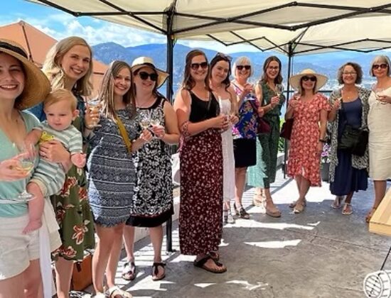 Napa North Wine Tours