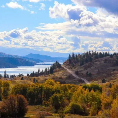 A Grape Experience Wine Tours