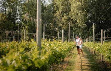 REV – Russell Estate Vineyard