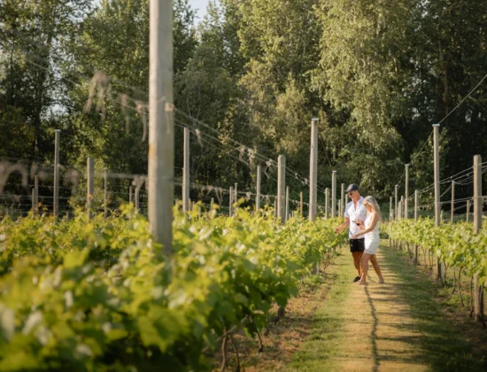 REV – Russell Estate Vineyard