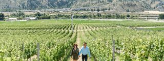 Kamloops wineries