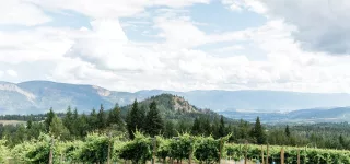 shuswap winery