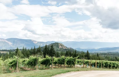 shuswap winery