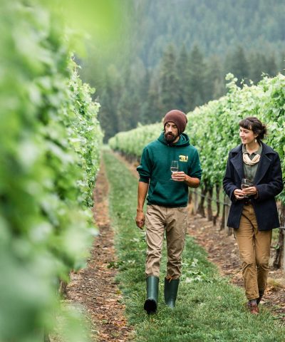 sunnybrae vineyard inspection