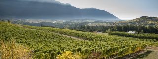 view of mountains and vineyards in the Kootenay Rockies region of British Columbia