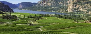 okanagan falls wineries