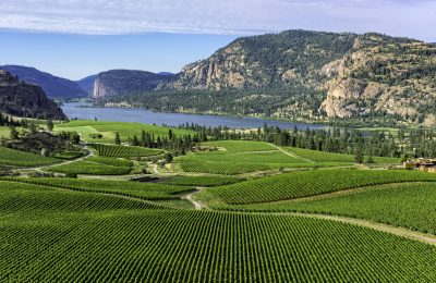 okanagan falls wineries