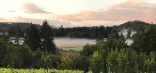 Vancouver Island winery