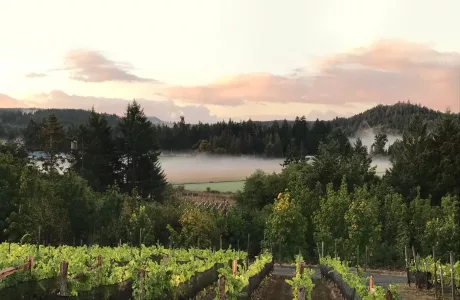 Vancouver Island winery