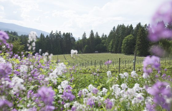 Vancouver Island wineries