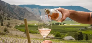 pouring rose with vineyard view in the Similkameen Valley