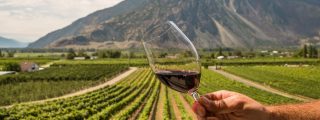 Similkameen Valley wineries