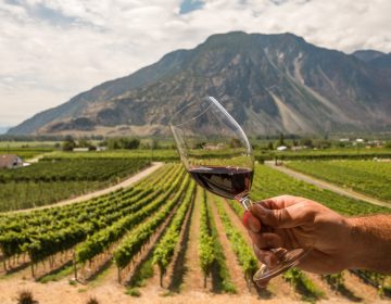 Similkameen Valley wineries