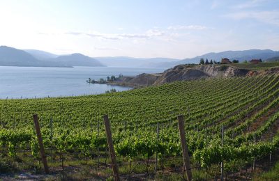 Naramata Bench panoramic valley view