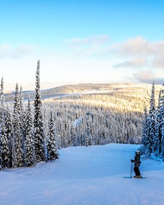 skiing in bc