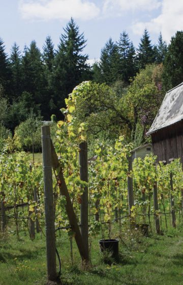 fraser valley